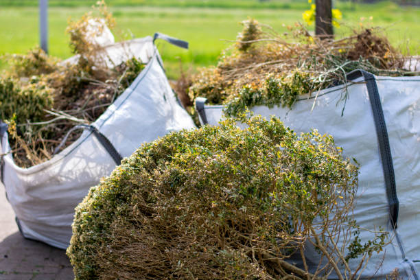 Yard Cleanup Services in Elizabethtown, NC